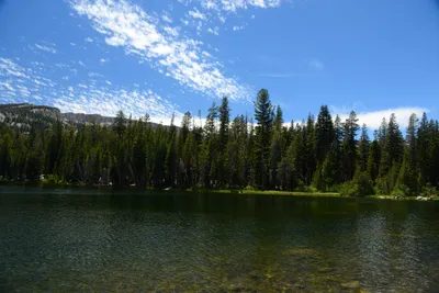 DSC_0007 (Large).JPG